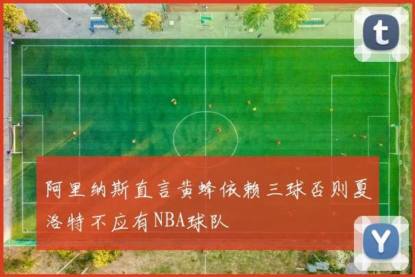 阿里纳斯直言黄蜂依赖三球否则夏洛特不应有NBA球队