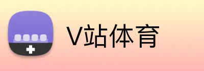 V站体育 Logo